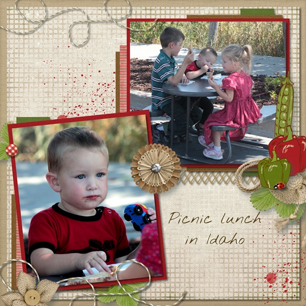 Idaho Picnic