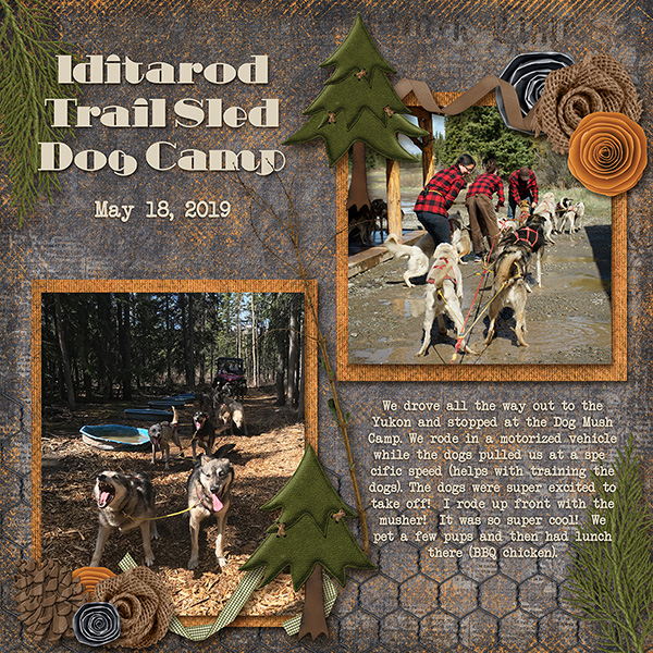 Iditarod Camp