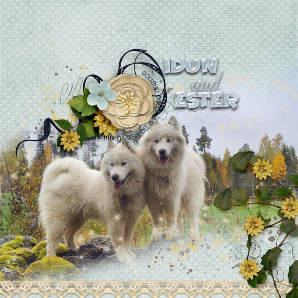 Idun-and-Ester