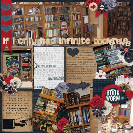 If I Only Had Infinite Bookshelves