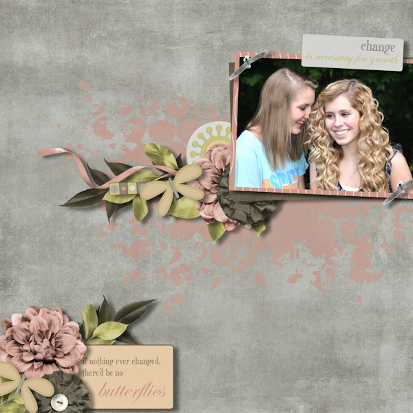 If nothing ever changed there would be no butterflies