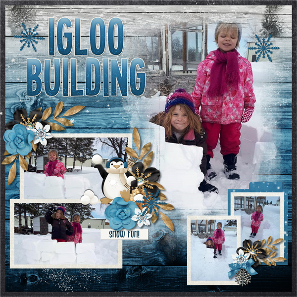 Igloo Building
