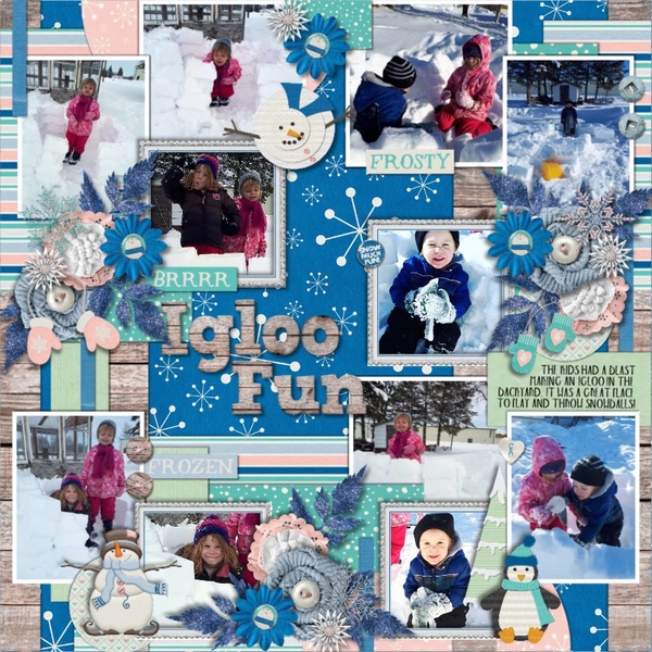 Igloo Fun