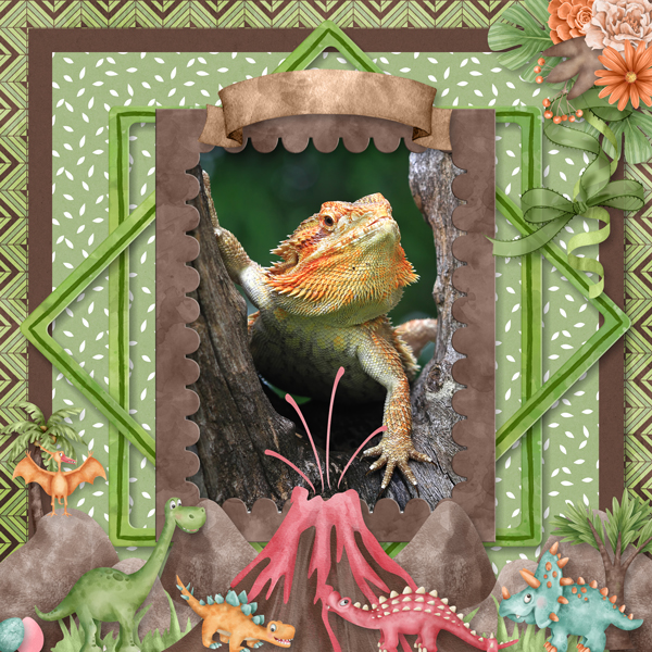 Iguana dragon