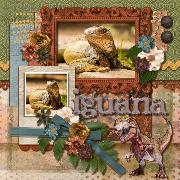 Iguana