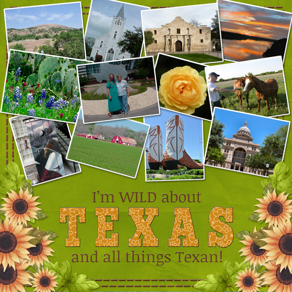 iI'm WILD about TEXAS