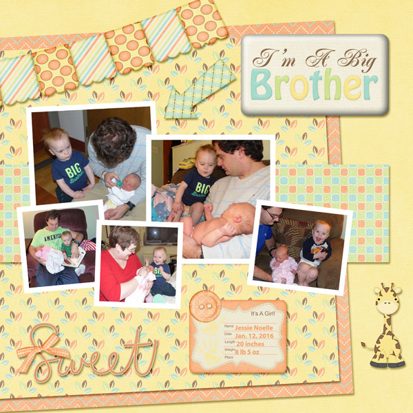 I'm a Big Brother