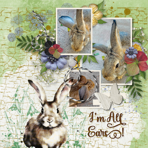 I'm All Ears!