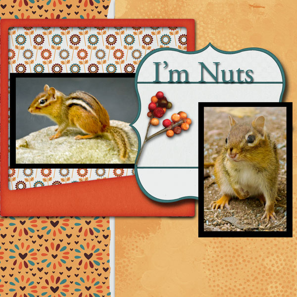 I'm Nuts About You