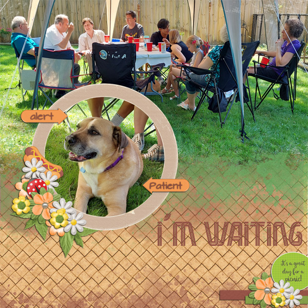 I'm Waiting