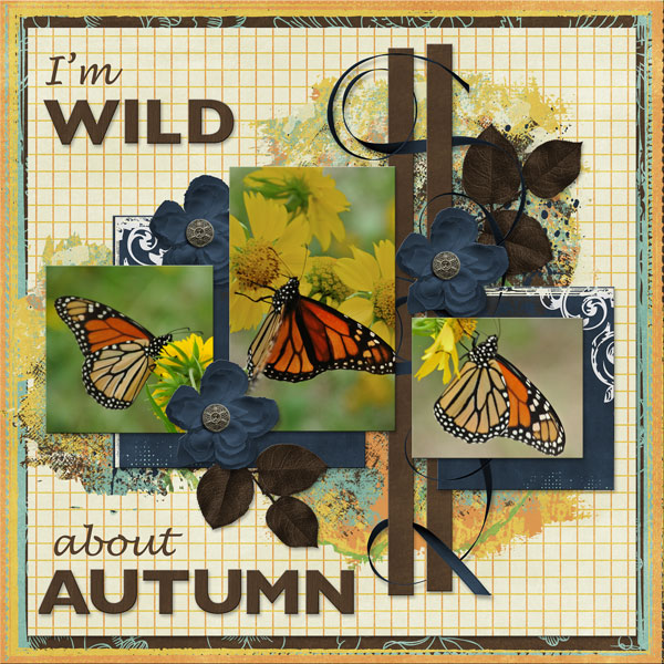 I'm Wild about Autumn