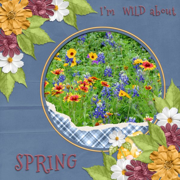 I'm WILD about SPRING