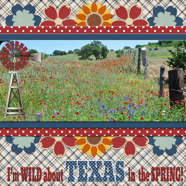 I'm WILD about TEXAS in the SPRING!
