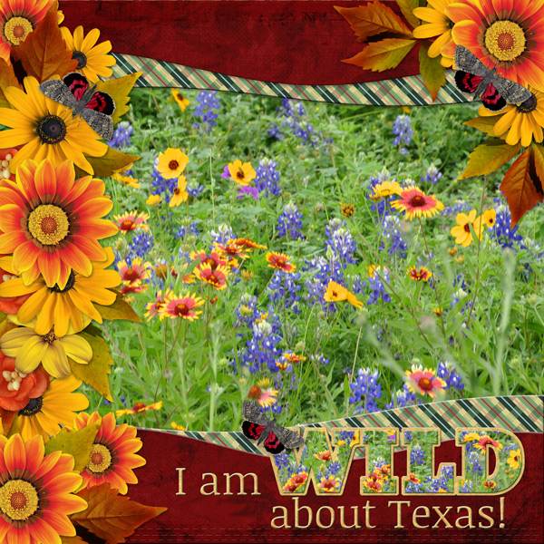 I'm WILD about Texas!