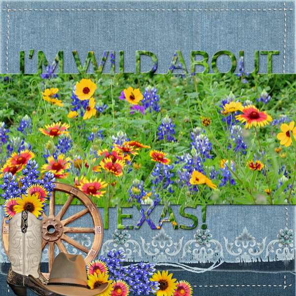 I'm WILD ABOUT TEXAS!