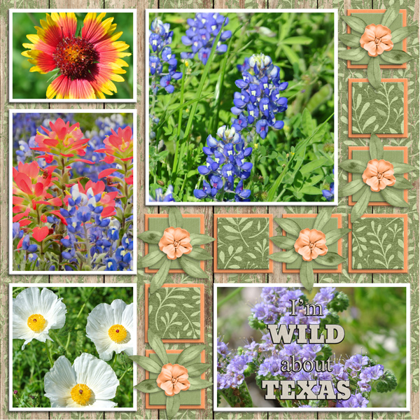 I'm WIld about TEXAS