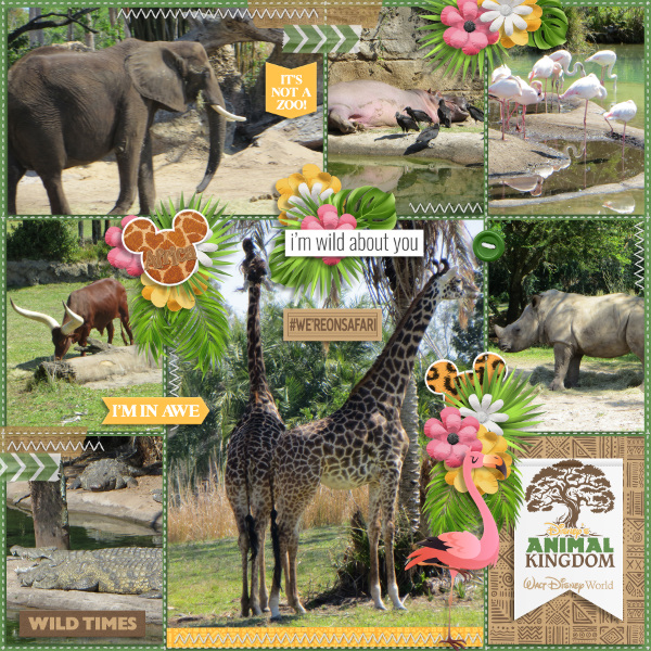 I'm Wild About You