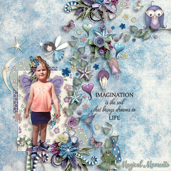 Imagination