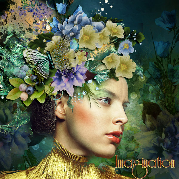 Imagination