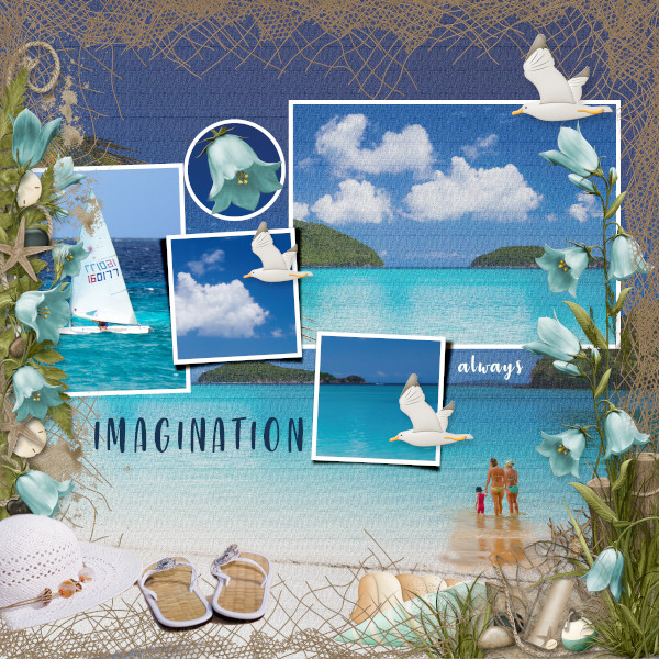 Imagination