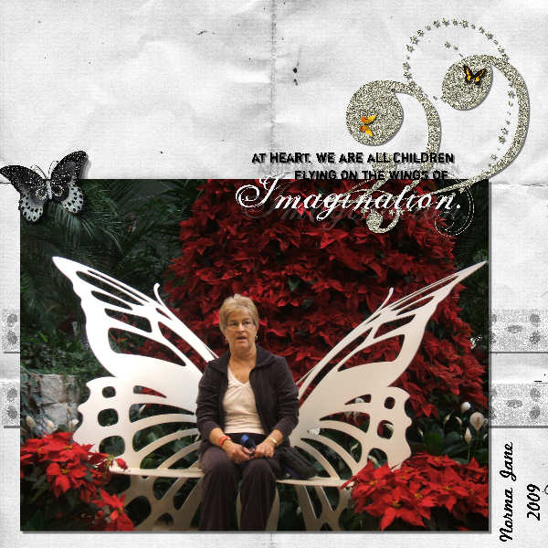 Imagination
