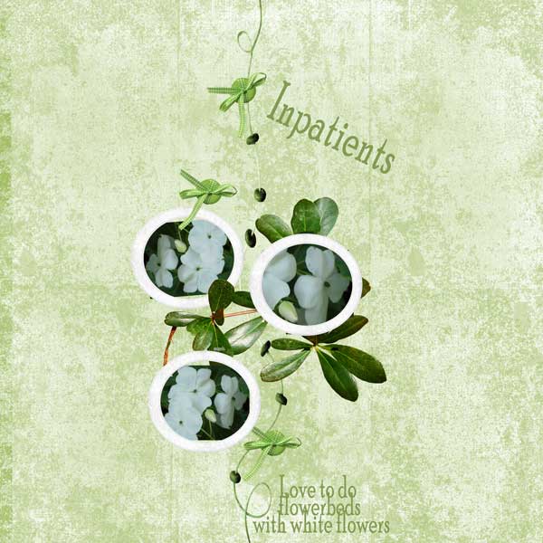 Impatients