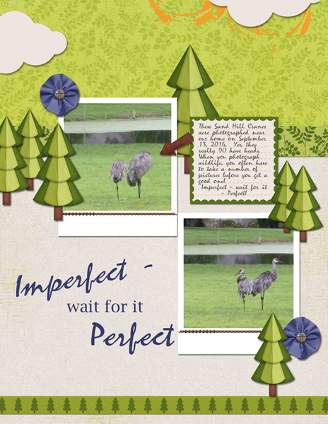 Imperfect