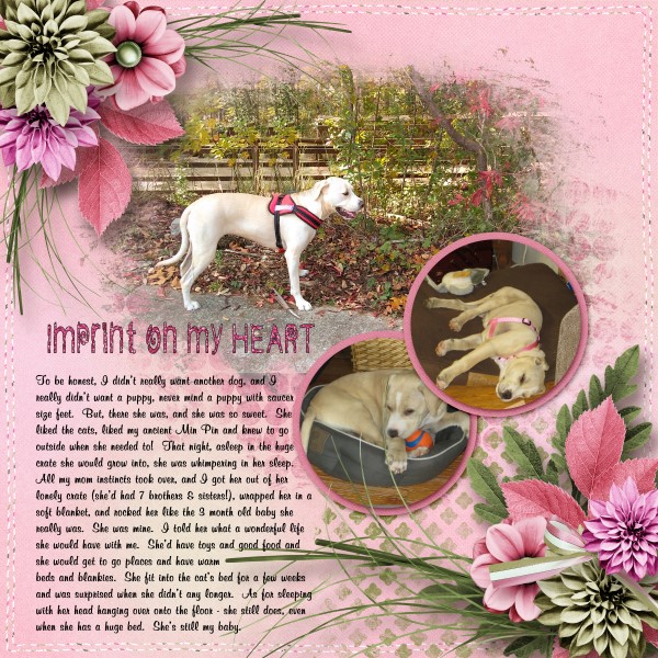 Imprint On My Heart