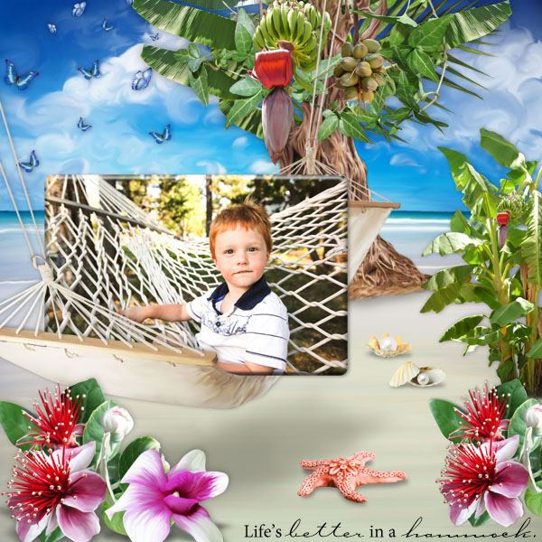 In a Hammock