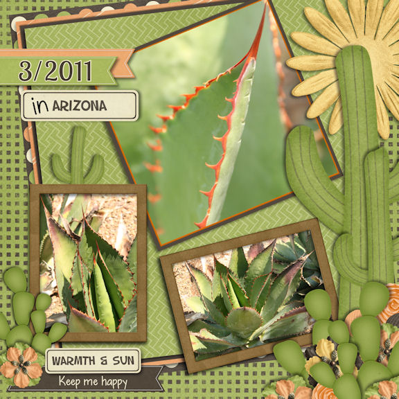 In Arizona