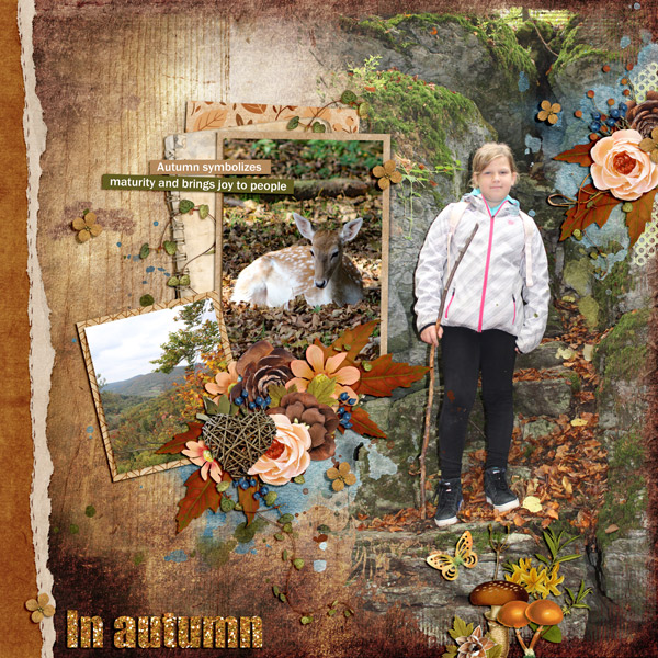 in autumn