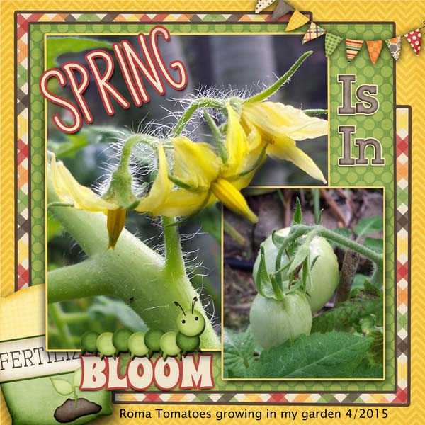 In bloom