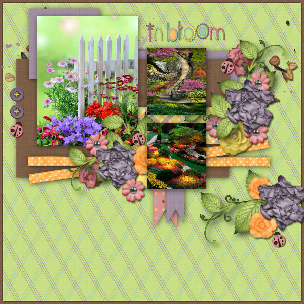 In Bloom