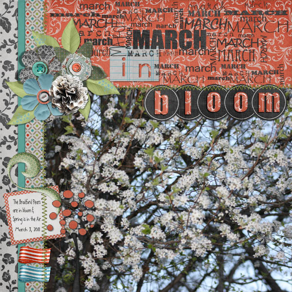 In Bloom