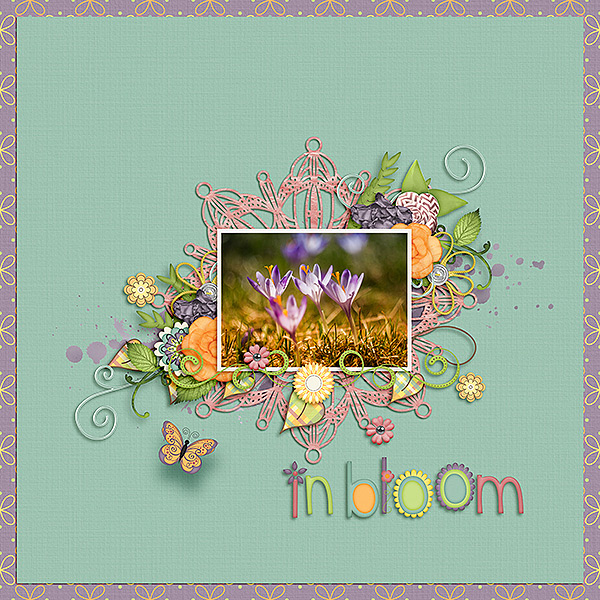 In Bloom