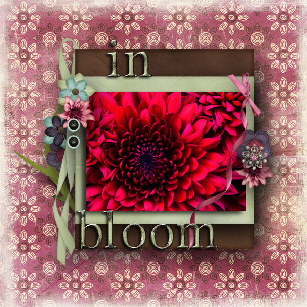 in bloom