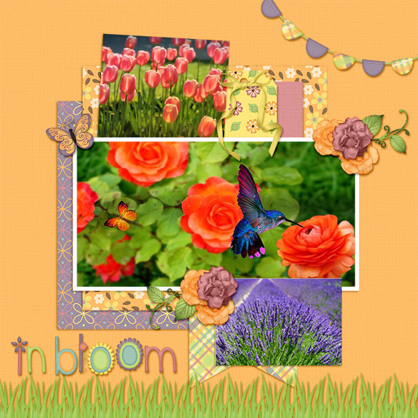 In Bloom