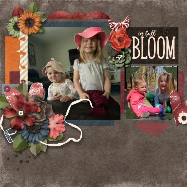 In Bloom