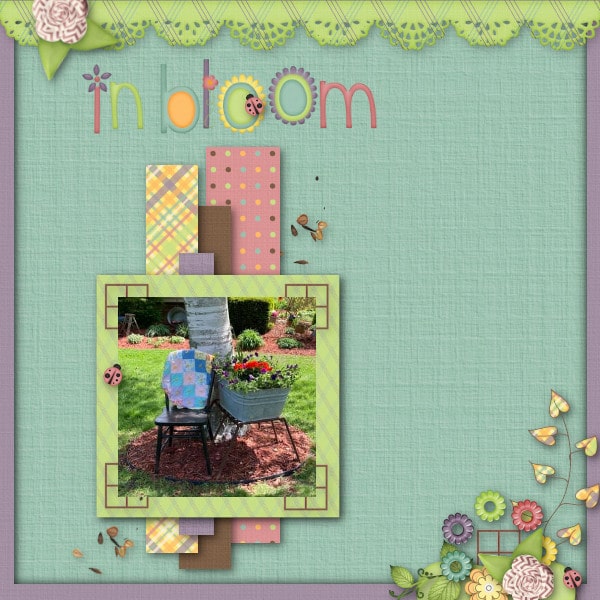 In Bloom