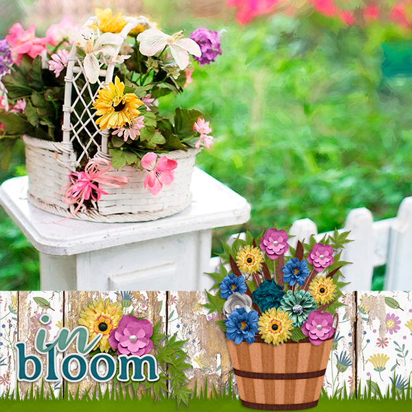 In Bloom