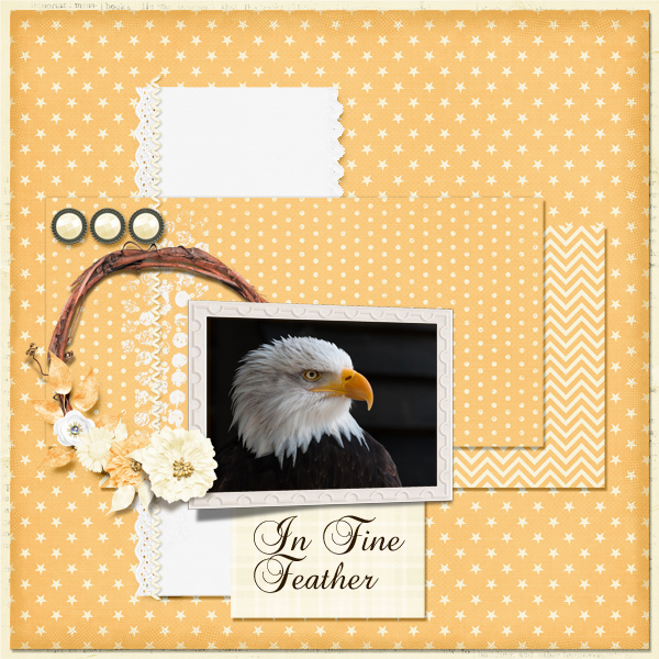 In Fine Feather