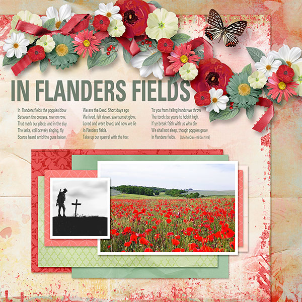 IN FLANDERS FIELDS