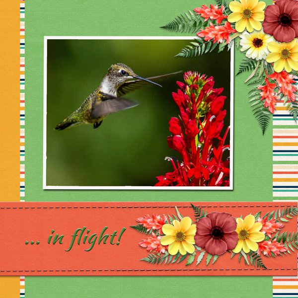 ... in flight!
