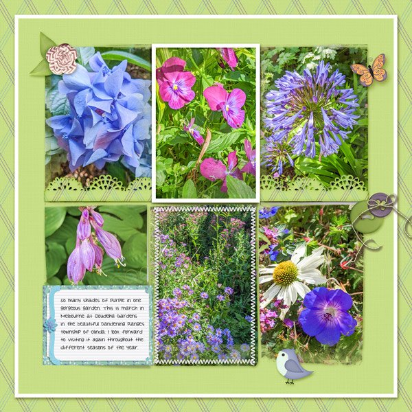 In Full Bloom - Purple