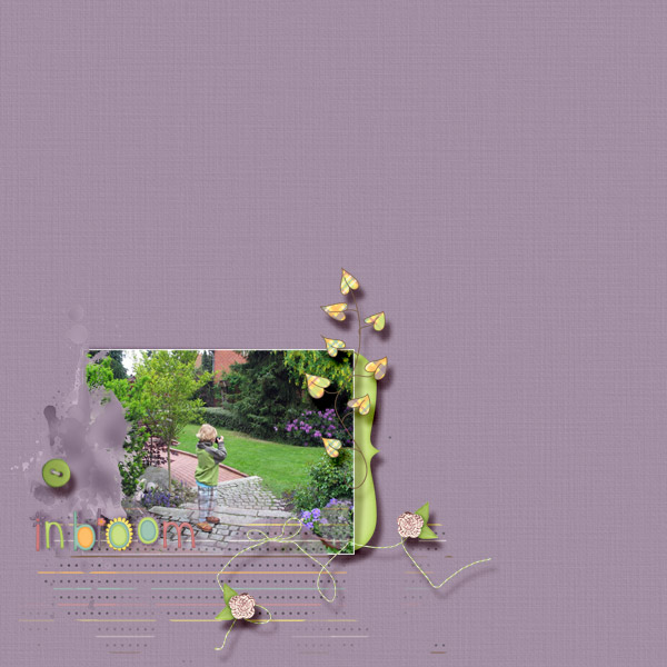 in full bloom