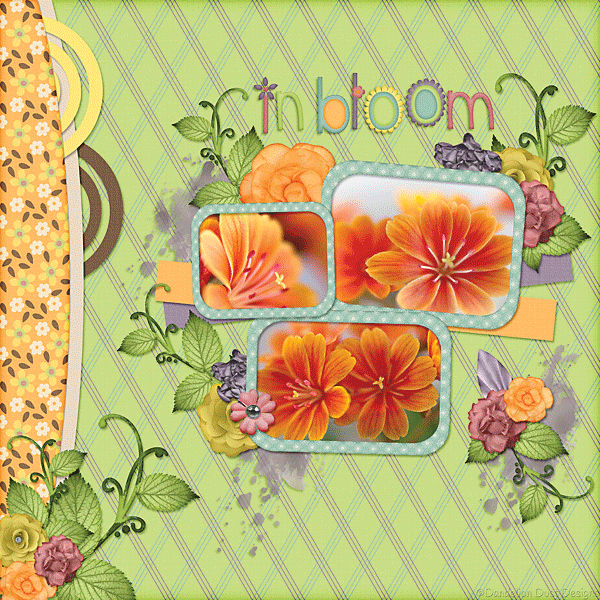 In Full Bloom