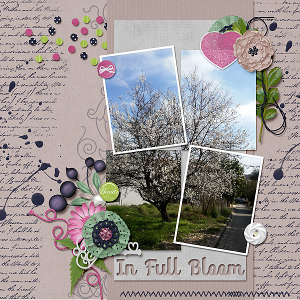 In full bloom