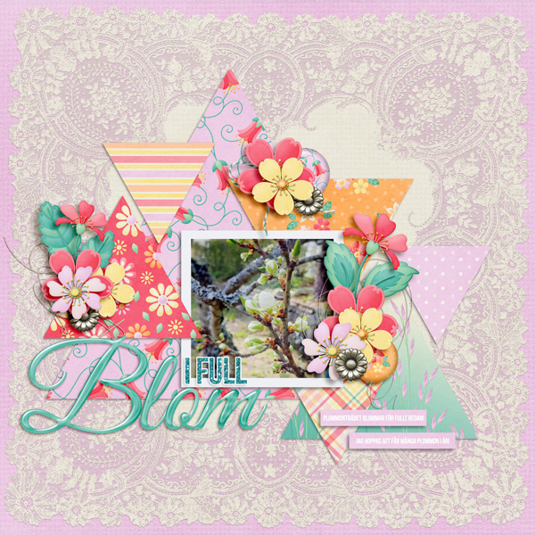 In full bloom