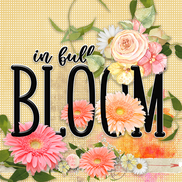 In full bloom