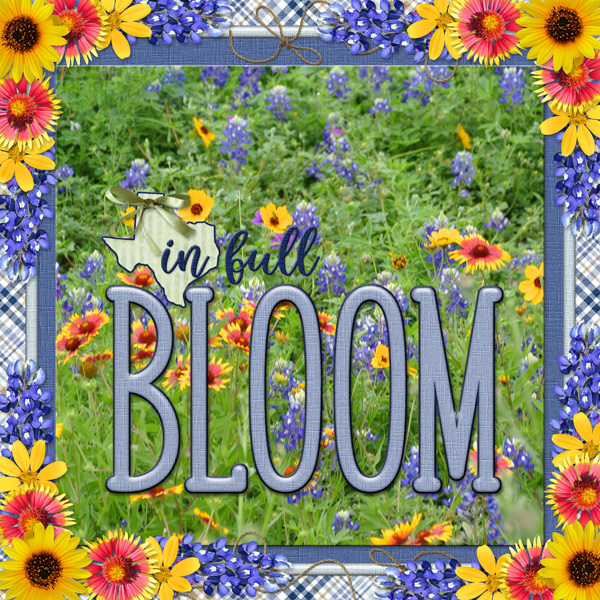 in full BLOOM